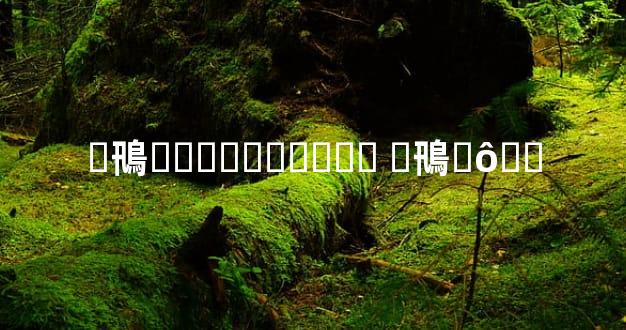 �鳵ɶ�ӳ����ܻ�ӭ �鳵ʲô��